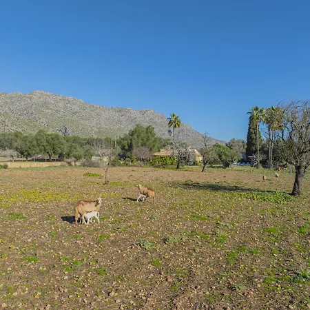 Casa Tonina Villa Pollença