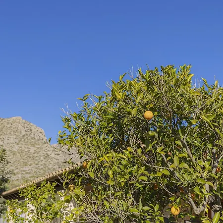 Casa Tonina ヴィラ