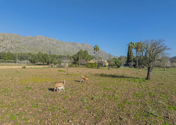 Casa Tonina Villa Pollença